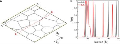 Microstructure-Dependent Rate Theory Model of Radiation-Induced Segregation in Binary Alloys